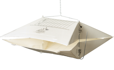 Pułapka skrzydełkowa