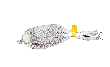 Kornik modrzewiowiec - wabik IPSCEM