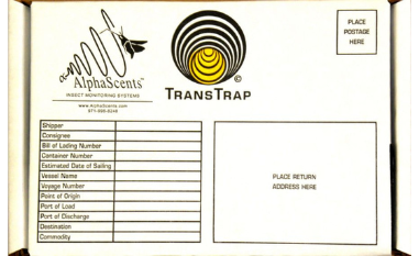 TransTrap Pułapka do monitoringu owadów inwazyjnych podczas transportu